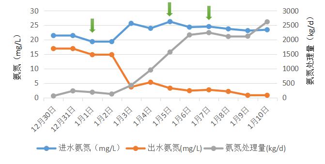 城鎮(zhèn)污水處理生化系統(tǒng)修復(fù)項目