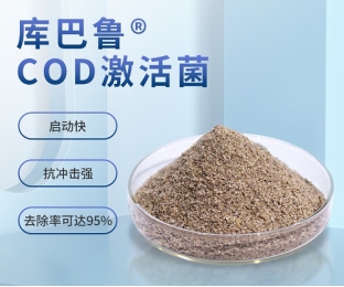 庫巴魯COD激活菌種